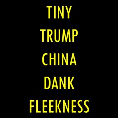 Tiny Trump China Dank Fleekness