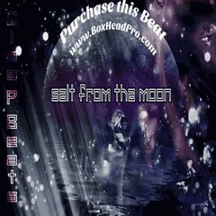 S A L T  From The Moon