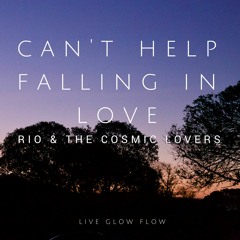 Can't Help Falling In Love With You