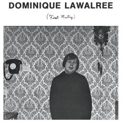 Dominique Lawalrée - Flight 3.0.5.