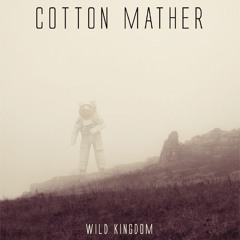 Cotton Mather - Better Than A Hit