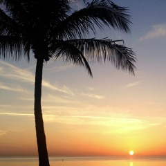 Karavan - Pärlipüüdja