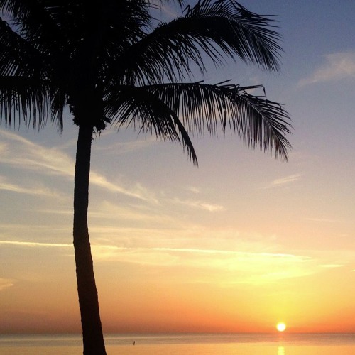 Karavan - Pärlipüüdja