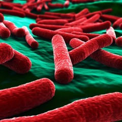 How Can We Discover Better Antibiotics?