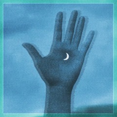 fleur de nuit [night_flower]