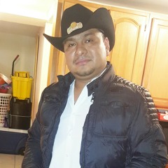 Los_Player´s_de_Tuzantla_-_Cien_por_Ciento_de_Tierra_Caliente_-_2.mp3