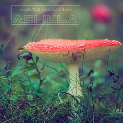 Salvo Guccione - Achula (Mushroom Mix)