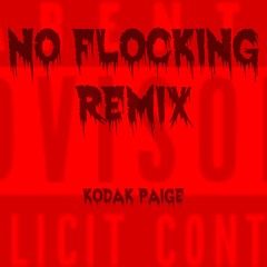 No Flocking Remix