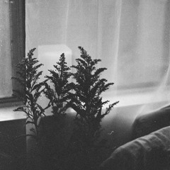 Ocean Of Sand (2015)