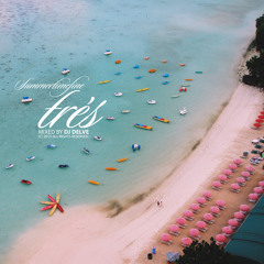 DJ DELVE summertimefine trés 2015