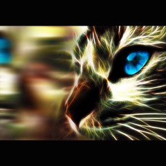 Afterlife! VI