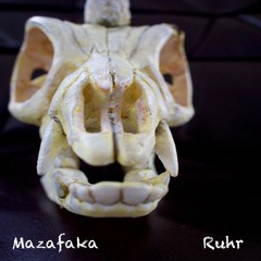 Mazafaka (Ruhr featured by A.d.i Trash & The Can)