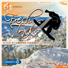 Fresh Tracks, Vol. 19