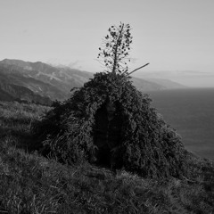 Fletcher Tucker - I Became Smoke