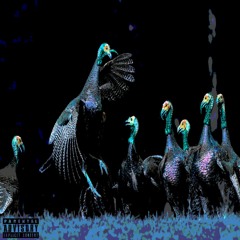 Wild Ones (Prod. Oogie Mane)