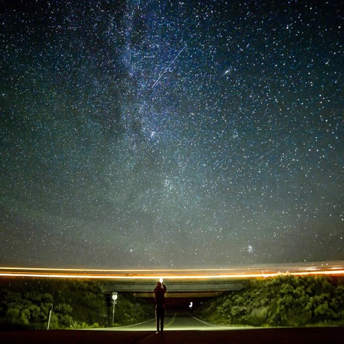 Richard Smithson - Move Through Space Like There Is None