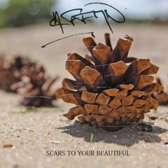 Scars To Your Beautiful - Emily Louise (HFFMN Remix)