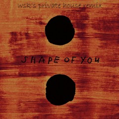 Ed Sheeran - Shape Of You(WSK's private remix)