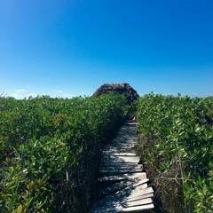 from tulum with love | feb 2017 | + tracklist