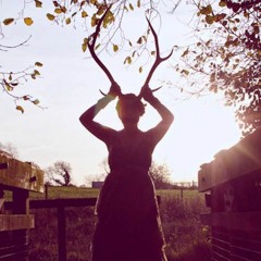 The Ensorcelled Wood