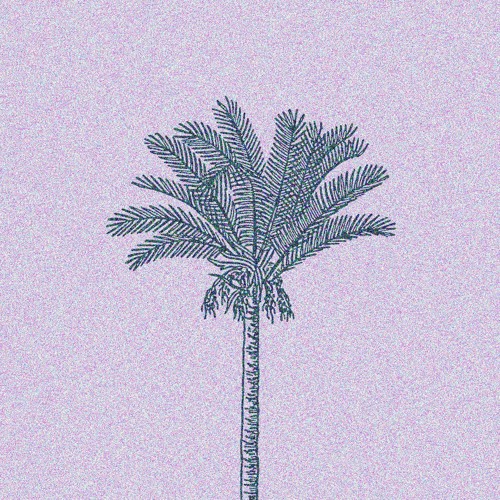 Code Ft. Jonez