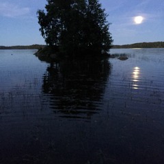 What a Wonderful World by Louis Armstrong, covered by Bradley Blalock