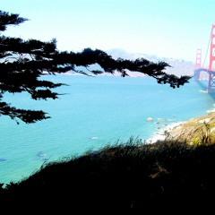 This is My Medicine by Bradley Blalock, 2004