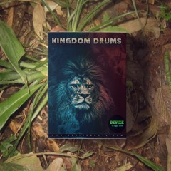 KINGDOM DRUMS - Now Available at $24.95 - www.DEVIZEBEATS.com