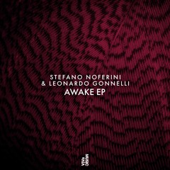 VIVa136 Stefano Noferini & Leonardo Gonnelli - Awake VIVa Music Master