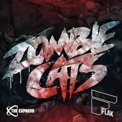 Zombie Cats on FLAK Sessions DNBE