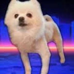 2 1 2 3
