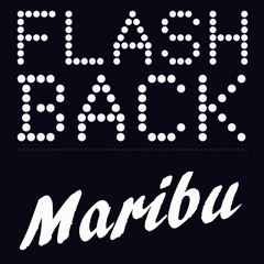 Calvin Harris - Flashback (Maribu Bootleg) [FREE DL]