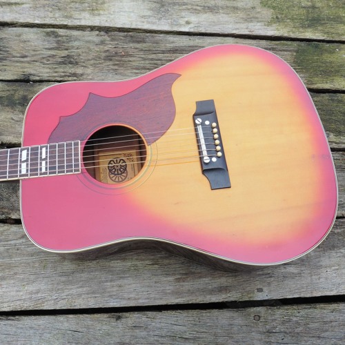 antoria hummingbird acoustic guitar