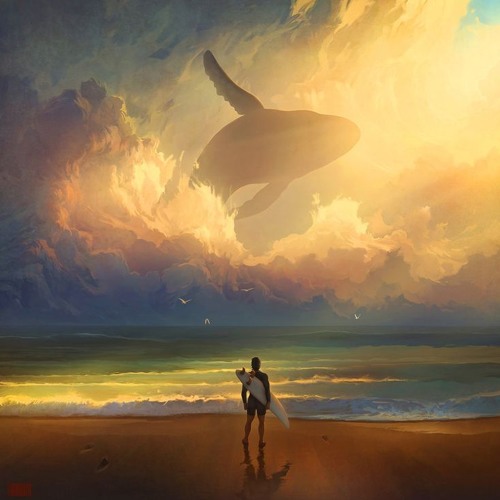 Whale Migration