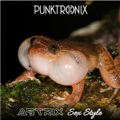 Astrix - Sex Style (Punktronix Remix) ***2015***