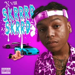 N VIII - SKRRD