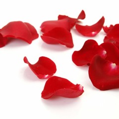 Rose Petals