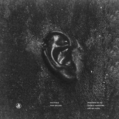 Holyfield-Post Malone