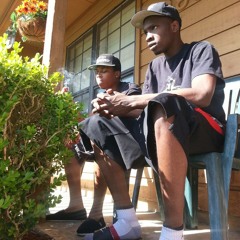 C. VENUS - 3 in a Jay (from Rise of the Flytrap)