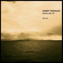 Robert Feedmann - Modular 0.1 (Original Mix)