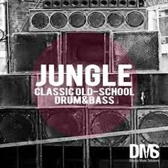 Jungle - Classic Old School Drum & Bass Mix