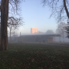 Turning My Tounge Into Gold: The Return Of King Midas