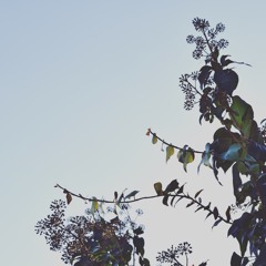 After All This Time (Feat. Pyro)