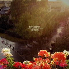 NEVER LEAVE  (2017)