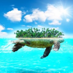 Acid Island (No Master)