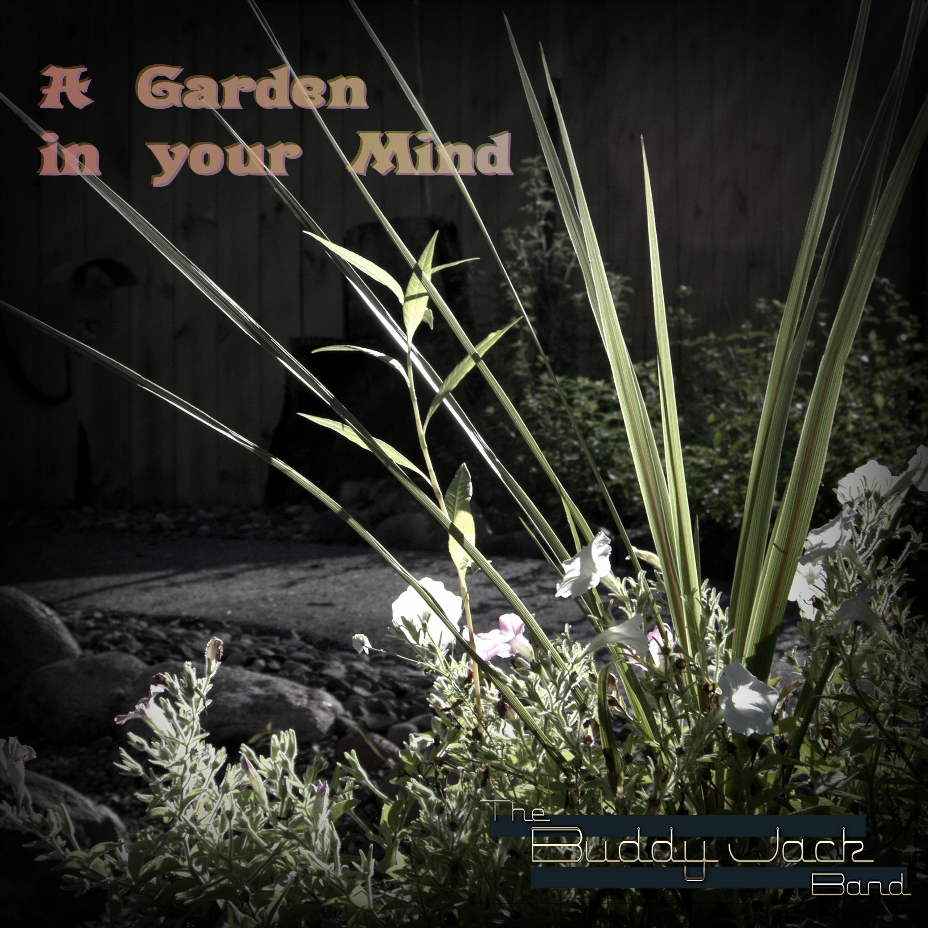 For A Minute Of Your Time episode artwork