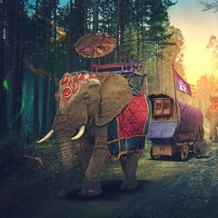 Electric Forest 2017(Weekend 1)