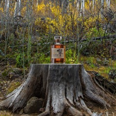 Hippie Sabotage Bad on the Bottle (slowed and mixed)