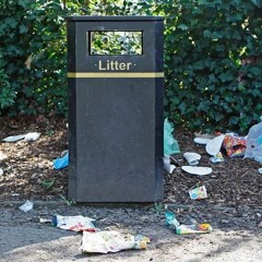 Subindex - Litter
