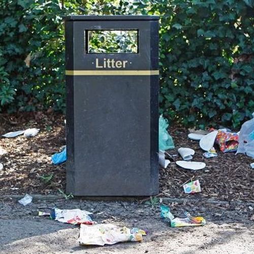 Subindex - Litter